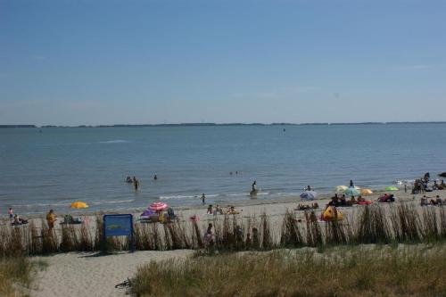 a crowd of people on a beach with umbrellas at Mobilheim Budget 6p auf dem Campingplatz Scheldeoord in Baarland