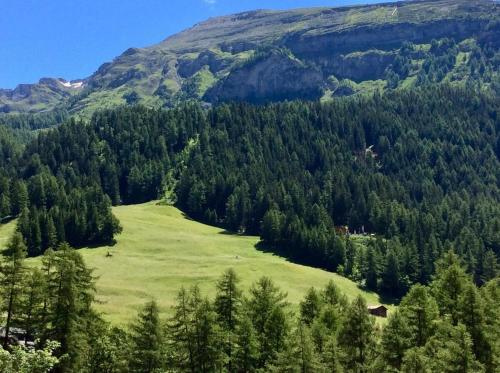 a green hillside with trees and a mountain at Apollo 47 in Leukerbad