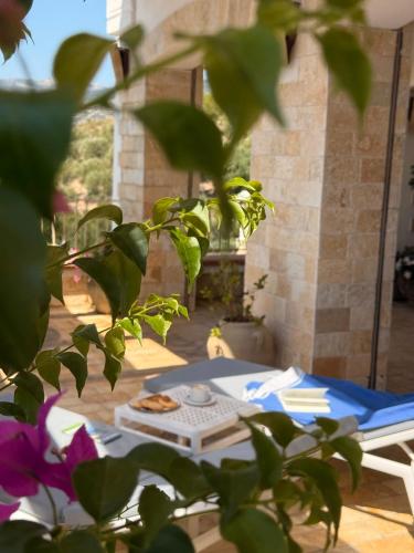 a table with a plate of food on a patio at Hotel Residence Il Porto in Mattinata