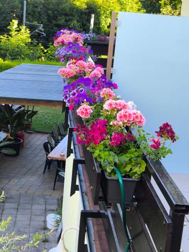 Jardín al aire libre en Gockescher Hahn