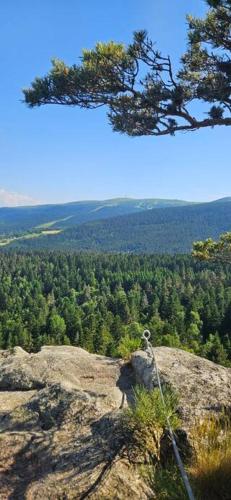 Gite Grand Confort en pleine nature - Le Perchoir de l'Olme