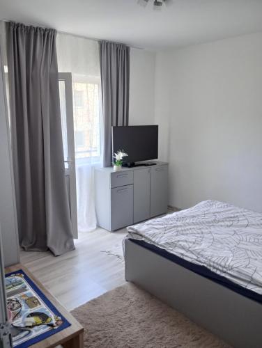 a bedroom with a bed and a flat screen tv at Apartament Catrys in Brezoi