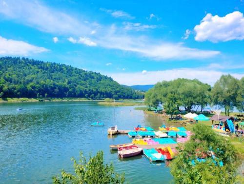un groupe de bateaux dans l'eau sur un lac dans l'établissement Pokoje gościnne u Brody, à Międzybrodzie Żywieckie