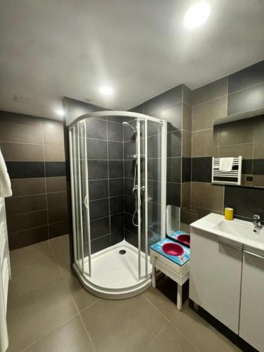 une salle de bain avec douche et lavabo dans l'établissement Appartement centre ville, à Propriano