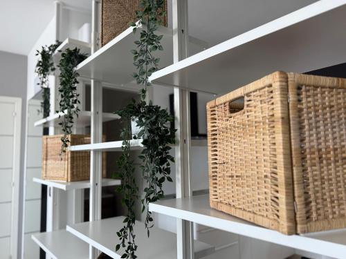 two wicker baskets on white shelves with plants at Sisters 'Home - Appartamenti di Charme nel Cuore di Milazzo in Milazzo