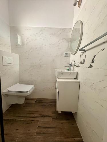 a bathroom with a toilet and a sink and a mirror at Casa Elaria in Sviniţa