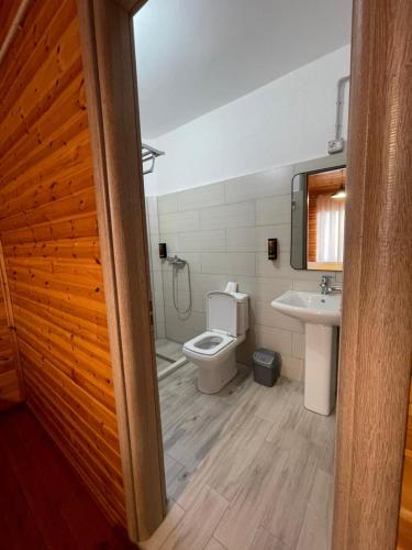 a bathroom with a toilet and a sink at Mirjana Guesthouse in Pukë