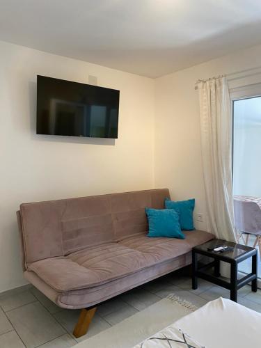 a brown couch in a living room with a flat screen tv at Apartments and Rooms Radivojević Niš in Niš