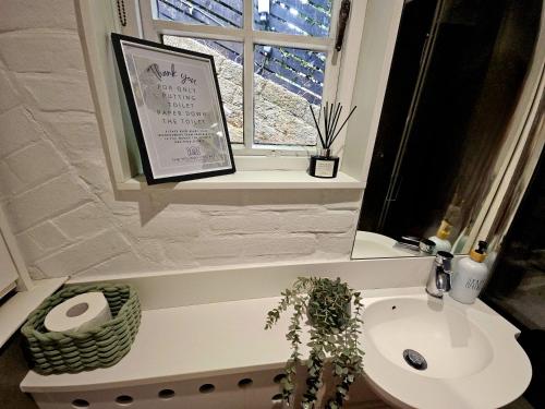 a bathroom with a window and a white sink at River View in Tonbridge
