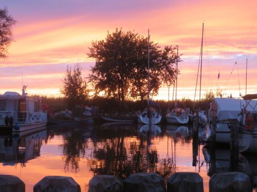 un gruppo di imbarcazioni ormeggiate in un porto turistico al tramonto di Kölp - Gentz H a Kölpinsee auf Usedom