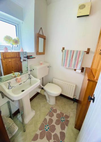 a bathroom with a toilet and a sink at Seaview in Duneen