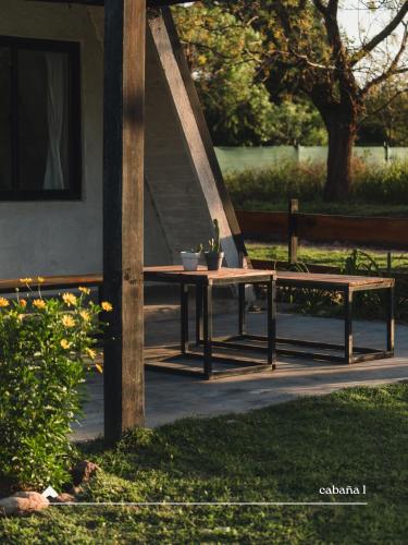 a picnic table with a potted plant on it at COMPLEJO ISABELLA in Villa Amancay