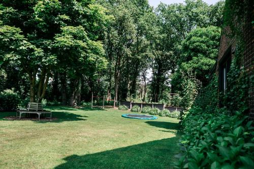 a yard with a blue frisbee on the grass at Bosserheide in Well