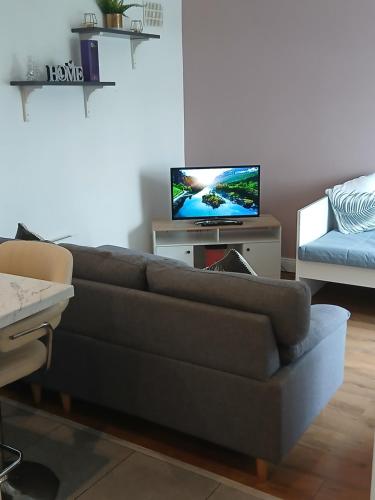 a living room with a couch and a tv at D17 Accommodation - Dublin Airport in Dublin