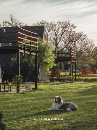 a dog laying on the grass in a park at COMPLEJO ISABELLA in Villa Amancay