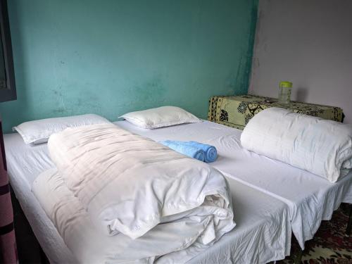 Ένα ή περισσότερα κρεβάτια σε δωμάτιο στο Falcon Homestay
