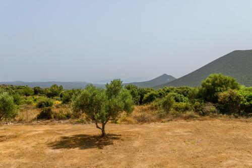 別荘の近くで見られる自然の景観