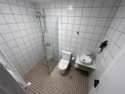 a small bathroom with a toilet and a shower at Pitna Guest House in K'obulet'i