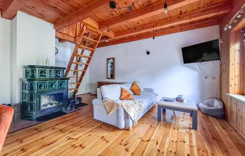 a living room with a couch and a fireplace at 3 Bedroom Awesome Home In Nowe Warpno in Nowe Warpno