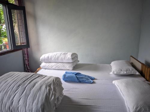 Ένα ή περισσότερα κρεβάτια σε δωμάτιο στο Falcon Homestay