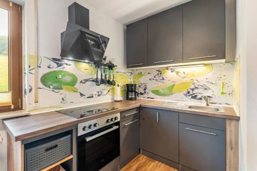 a kitchen with a stove top oven next to a sink at Hof Helmenhube 2 in Gammelsbach