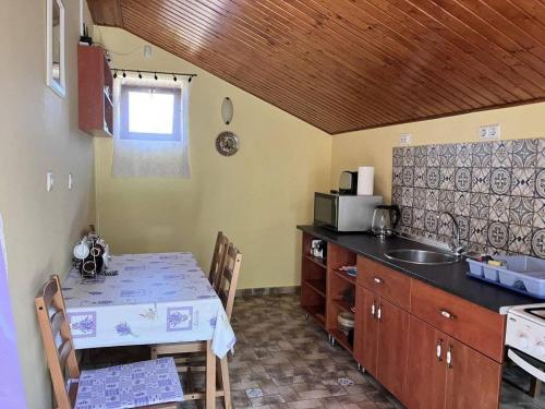 a kitchen with a table and a sink and a counter at Aranyhal Vendégház in Poroszló
