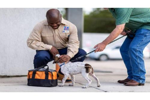 a man is petting a dog on a leash at Studio 6 Lake Elsinore, CA in Lake Elsinore
