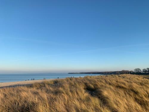 a beach with tall grass and the ocean in the background at GUT KLETKAMP "Mühlenhof 3" - Ruhige Ferienwohnung mit 2 Schlafzimmern I Terrasse mit See- & Naturblick I Gemeinschaftsgarten I 15 Min zur Ostsee I Küche I Parkplatz I Waschmaschine I WLAN in Kletkamp