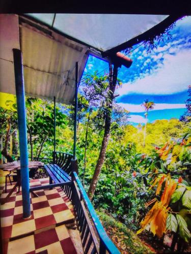 Munnar green portico cottages and hut stay