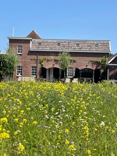 a field of flowers in front of a building at Het Wiekenkruis - Daar bij die Kempermolen in Breedenbroek