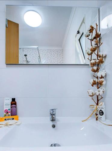 a bathroom sink with a mirror and a plant at Casa da Avó Ti in Azoia