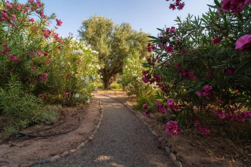 a path through a garden with pink flowers at Havre de Paix à Marrakech in Heddad