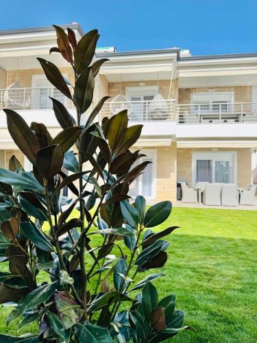 Exotic Apartments Nikiti