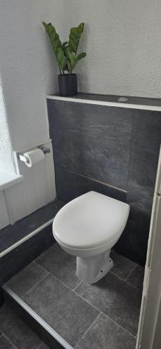a bathroom with a toilet and a potted plant at The Bulls Head Hotel in Youlgreave