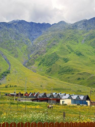 a group of houses in a field with mountains in the background at Devdaraki Apartments N 113 in Stepantsminda
