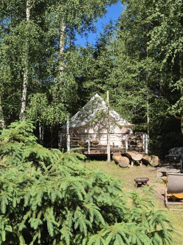 a log cabin in the middle of a forest at Šepot in Štôla