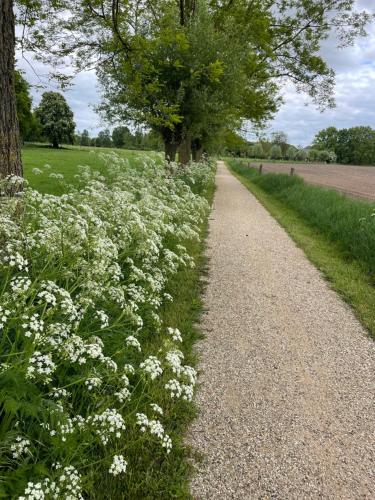 a path with white flowers next to a field at De Windpeluw - Daar bij die Kempermolen in Breedenbroek