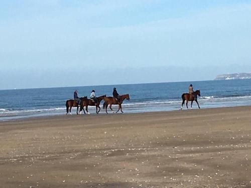 - un groupe de personnes à cheval sur la plage dans l'établissement Appartement 2 pièces sur plage, à Blonville-sur-Mer