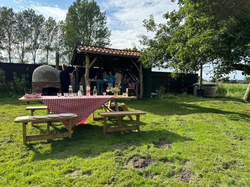 a picnic table in a field with a gazebo at PieterBuur in Pieterburen
