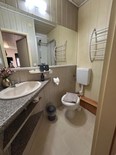 a bathroom with a sink and a toilet and a mirror at Pension Rosenhof am Bahnhof in Forst