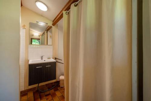 une salle de bain avec un lavabo et un rideau de douche dans l'établissement Gite le Cellier, à Gavaudun