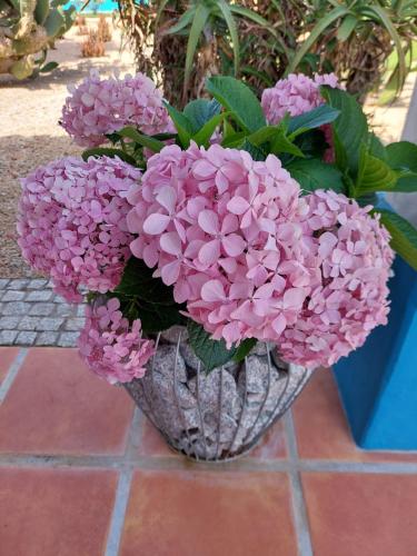 a vase filled with pink flowers on a brick floor at Monte do Sobreiro in Vimieiro