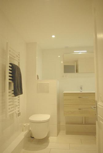 une salle de bain blanche avec des toilettes et un lavabo dans l'établissement Dijon Standing Historic City Apartment, à Dijon