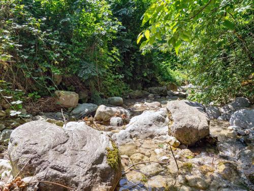 a stream of rocks and trees in a forest at Casa Nina - Wi-fi gratuito in Ballabio