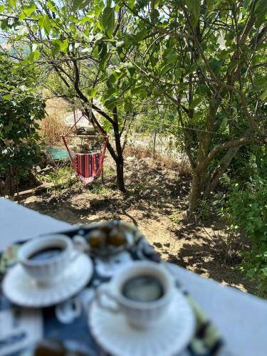 two cups of coffee on a table with a basket of grapes at Albanian Oasis in Gjirokastër