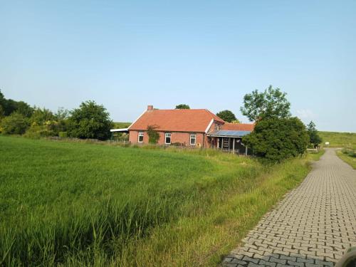 a house in a field next to a road at Huus van Dykster 45262 in Dyksterhusen