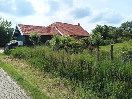 a house with a field of tall grass in front of it at Huus van Dykster 45262 in Dyksterhusen