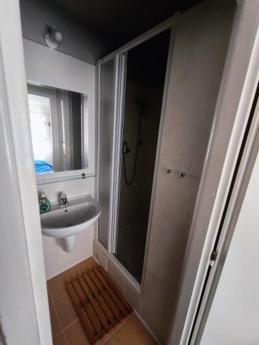 a bathroom with a shower and a sink at Kalahari Klínovec in Loučná pod Klínovcem