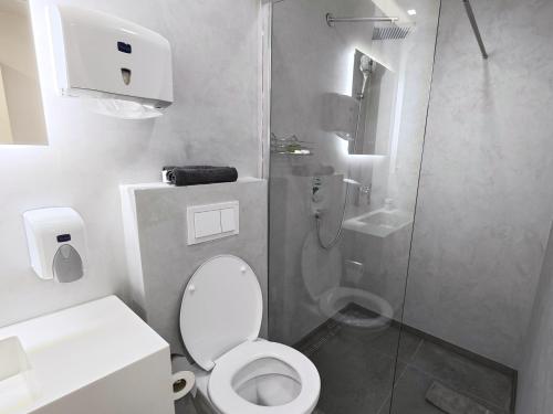 a small bathroom with a toilet and a shower at Hotel Doris 