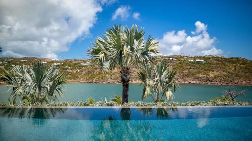 a palm tree in the middle of a body of water at Marigot Bay Oasis with Infinity Pool in Marigot